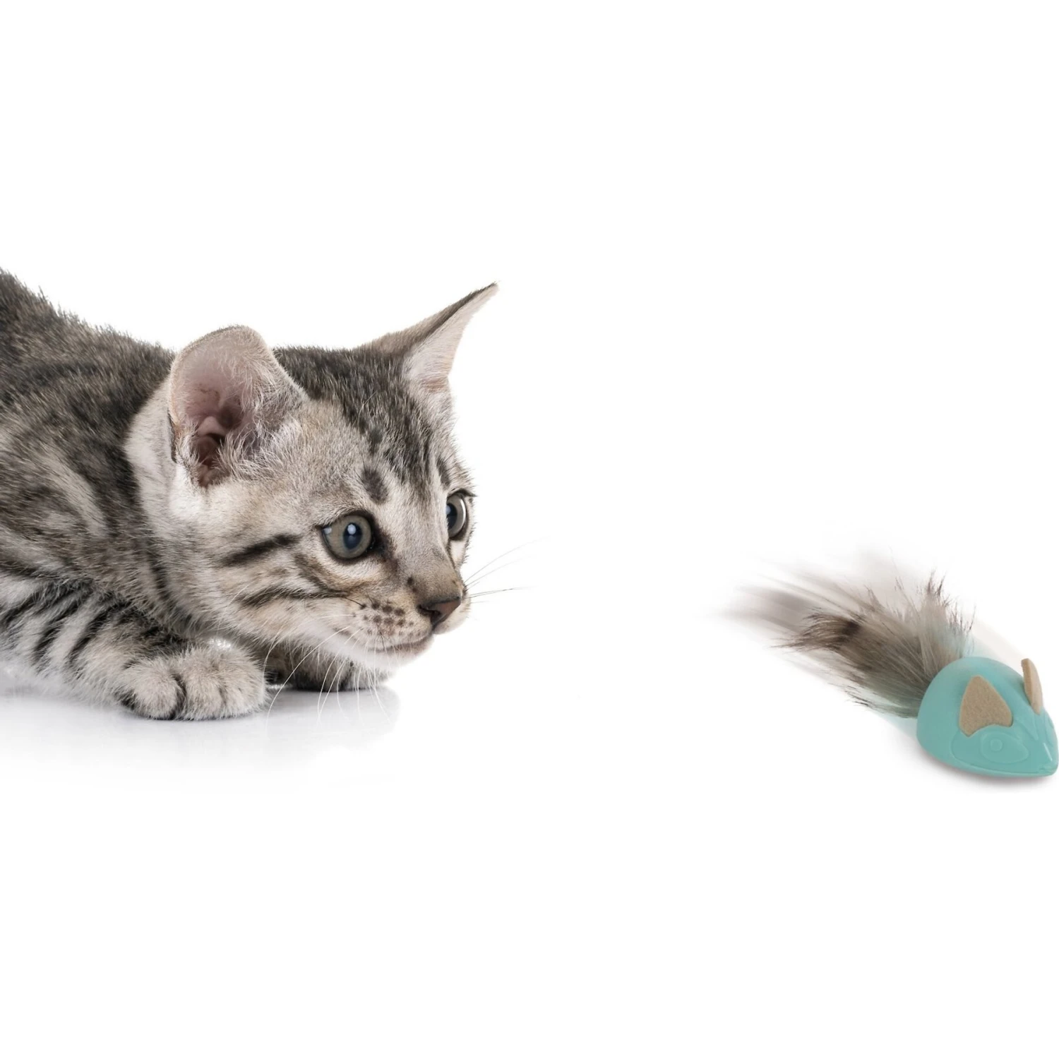 Petlinks Marble Mayhem Rolling Marble Racoon Cat Toy, Teal, Small - Image 4