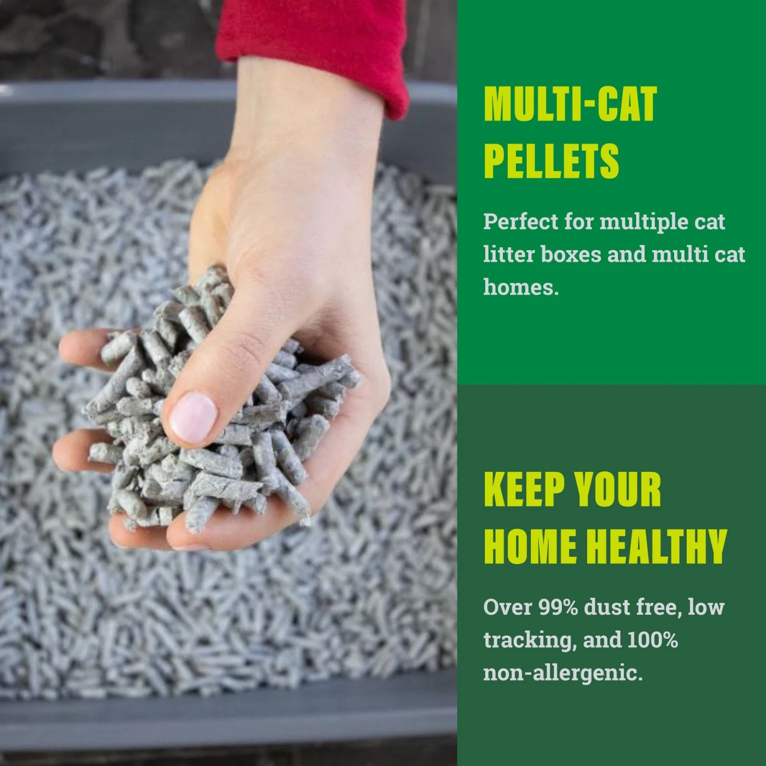 Fresh News Non-Clumping Scented Paper Cat Litter, 25-lb Bag - Image 4