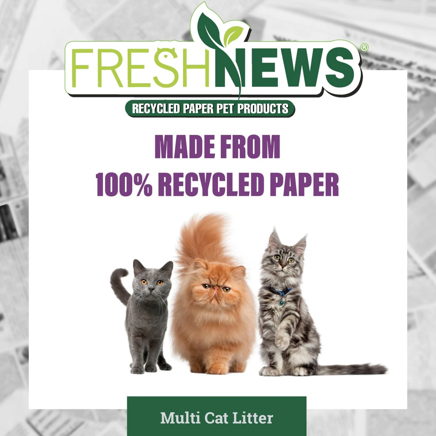 Fresh News Non-Clumping Scented Paper Cat Litter, 25-lb Bag - Image 5