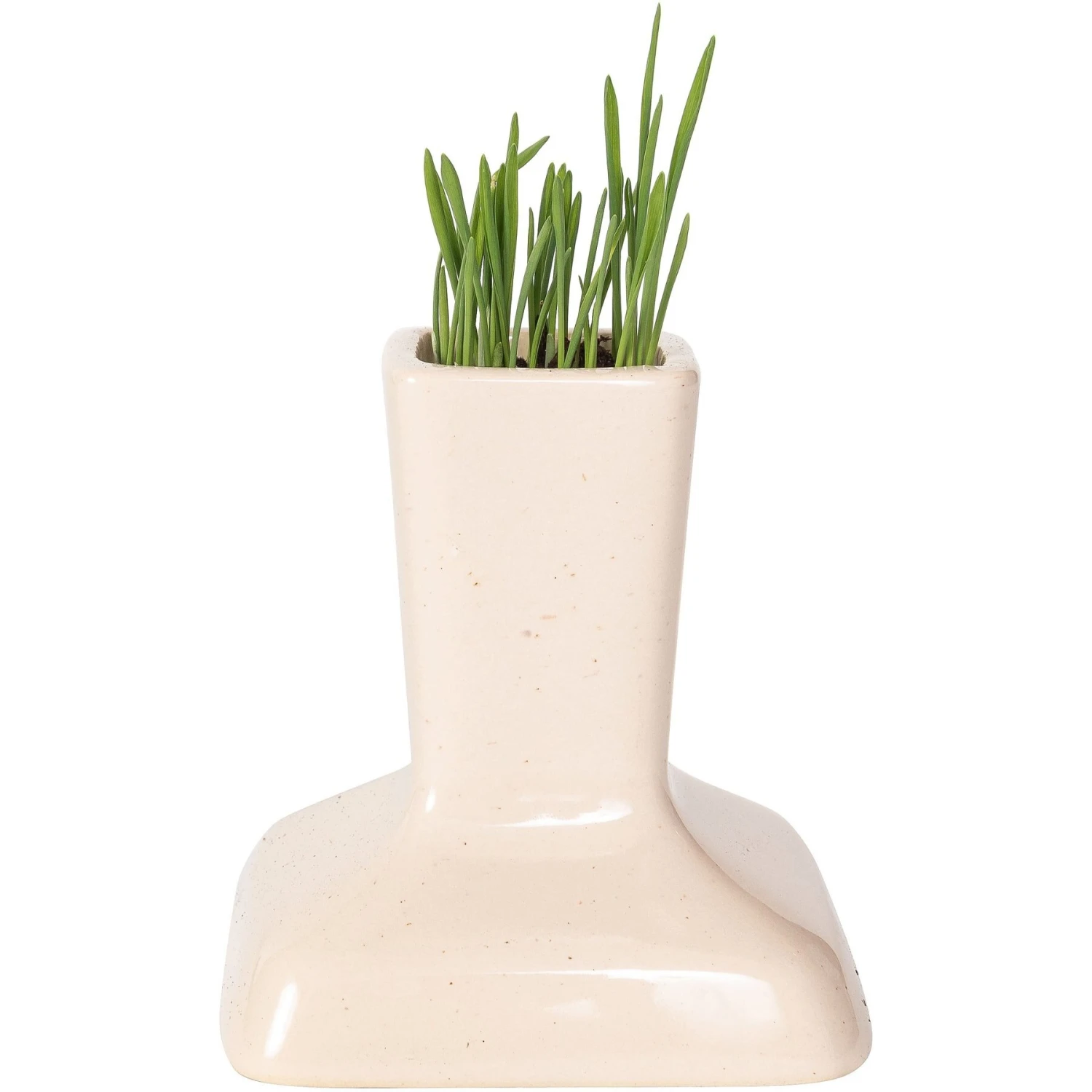 Miaustore Cat Grass Cup & Miaustore Dog & Cat Ceramic Water Fountain, 115-oz - Image 2