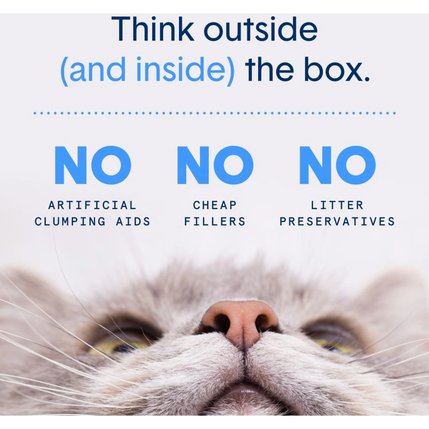 Boxiecat Gently Scented Premium Clumping Clay Cat Litter - Image 5