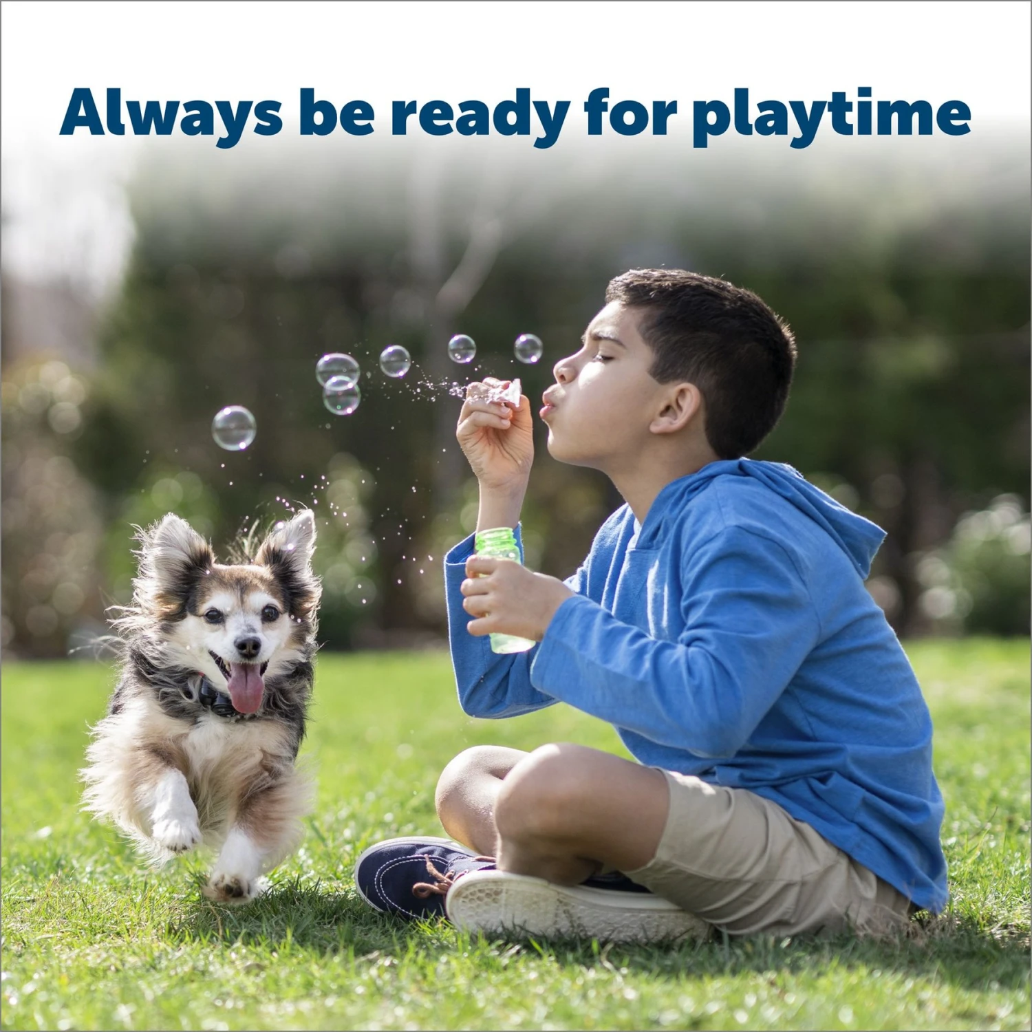 PetSafe RFA-67 6 Volt Replacement Batteries - Image 2