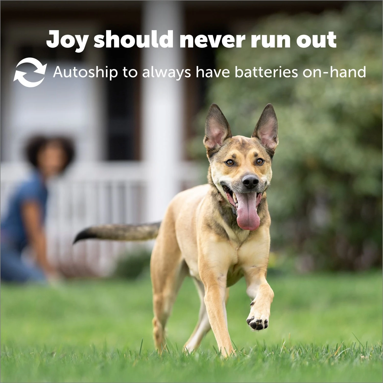 PetSafe RFA-67 6 Volt Replacement Batteries - Image 5