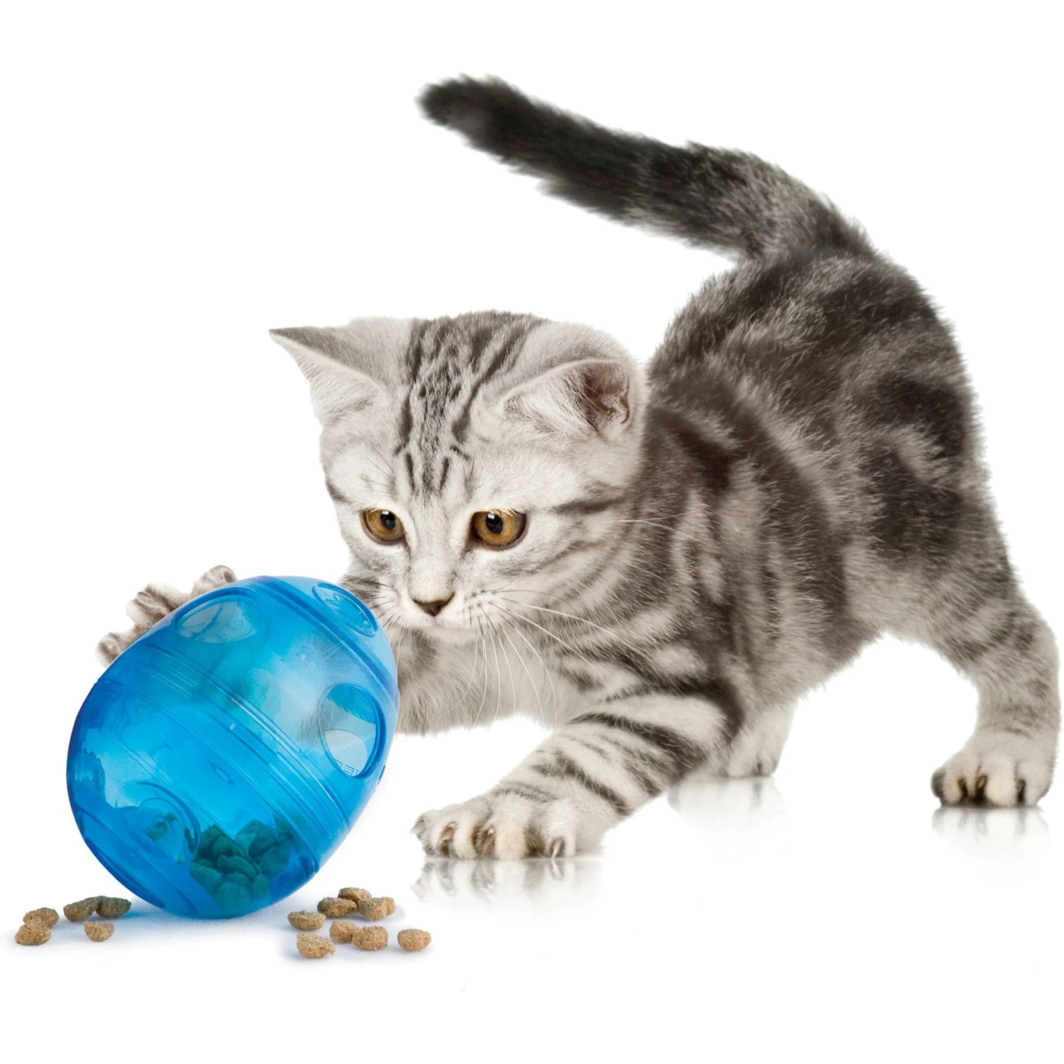 PetSafe Funkitty Egg-Cersizer Treat Dispenser Cat Toy - Image 3