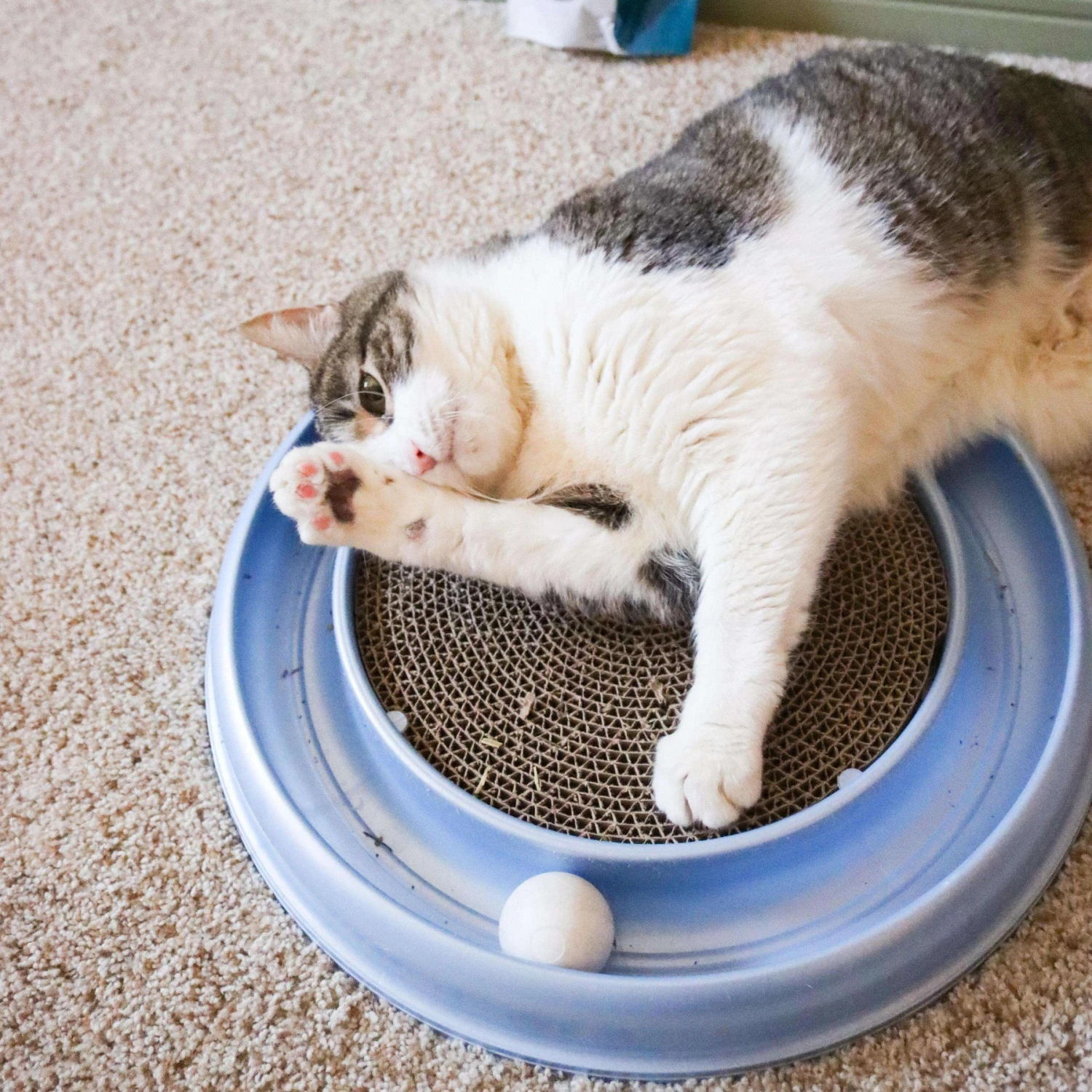 Bergan Scratcher Replacement Pads, 2 Count - Image 5