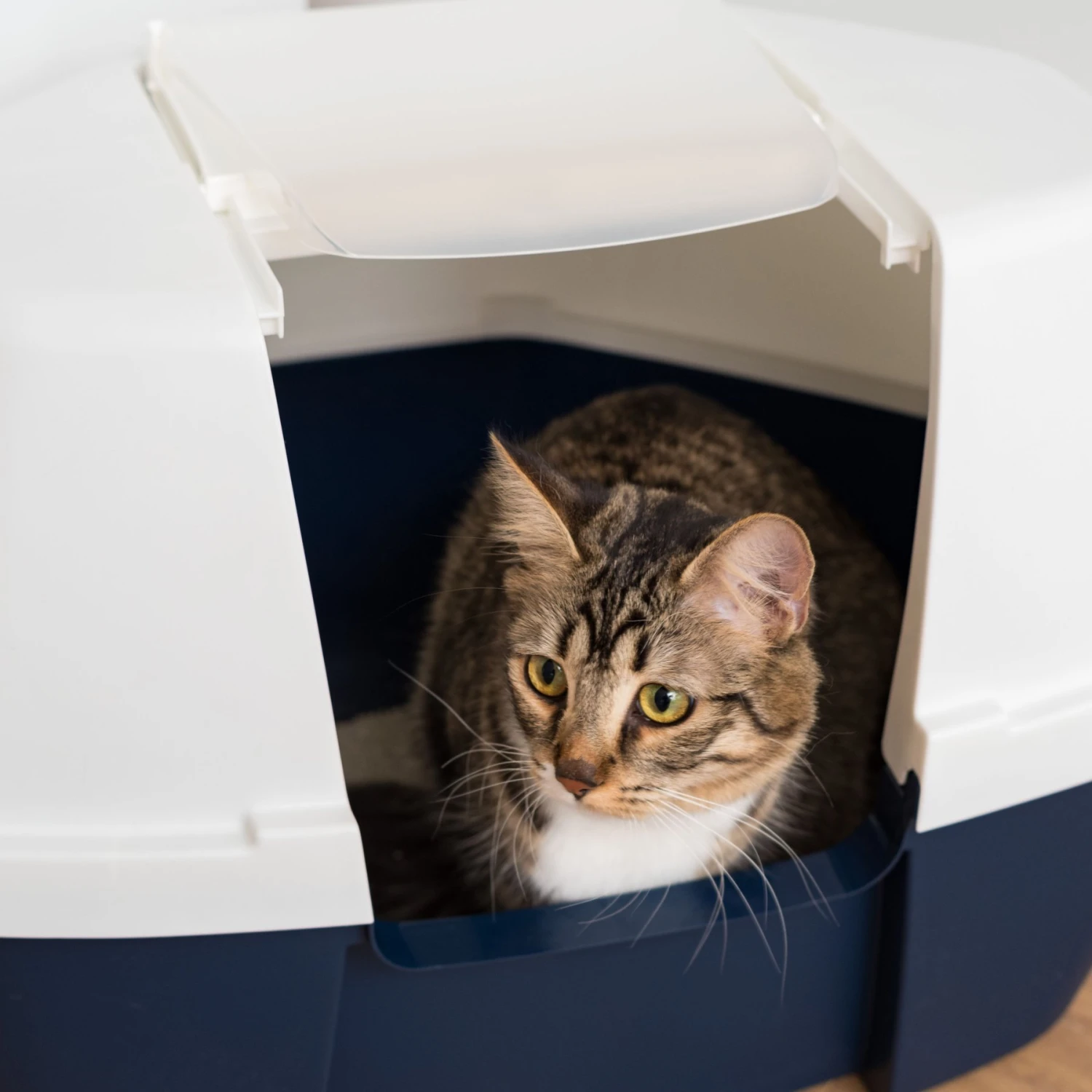 IRIS USA Hooded Corner Cat Litter Box With Front Door Flap - Image 9