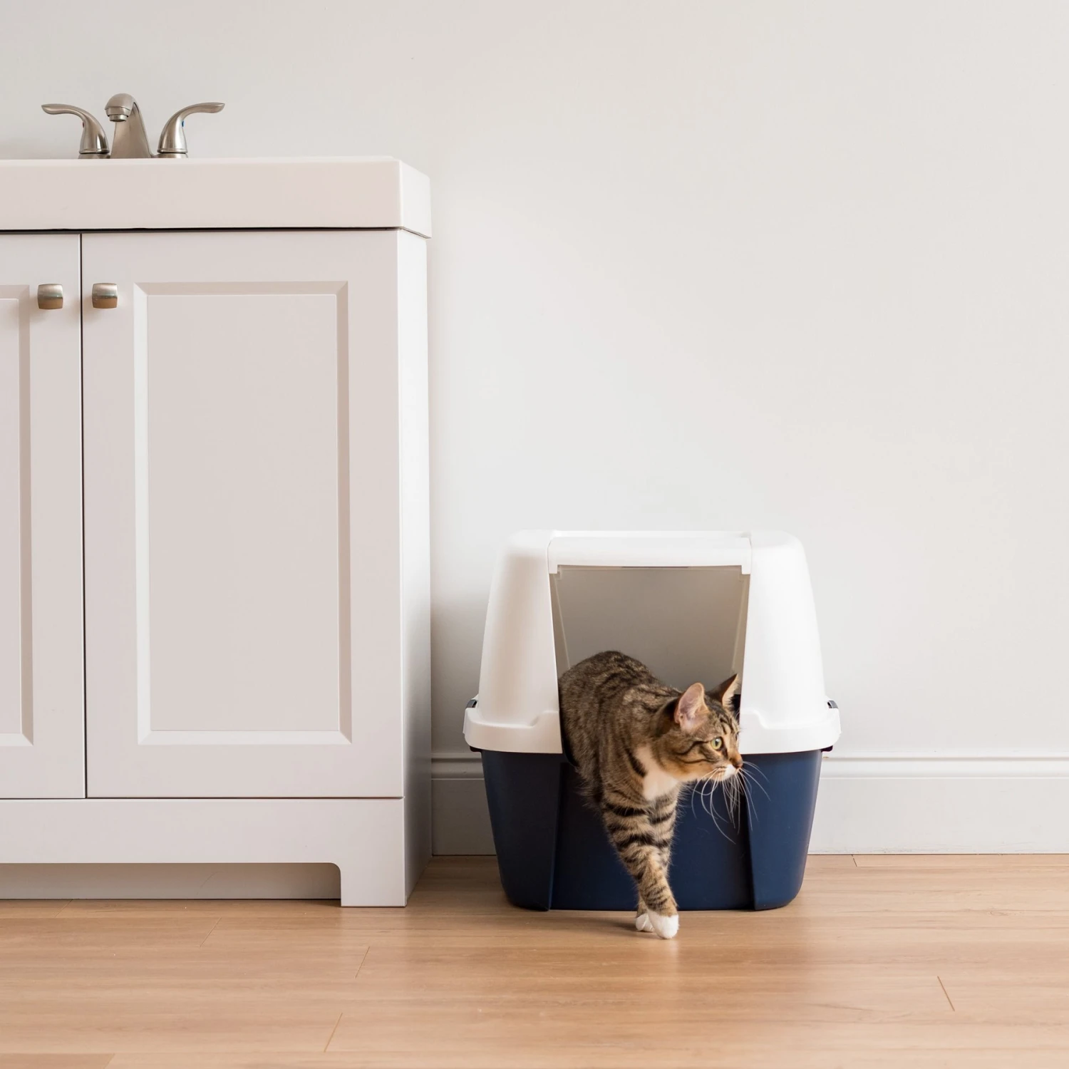IRIS USA Jumbo Enclosed Hooded Cat Litter Box With Front Door Flap - Image 2