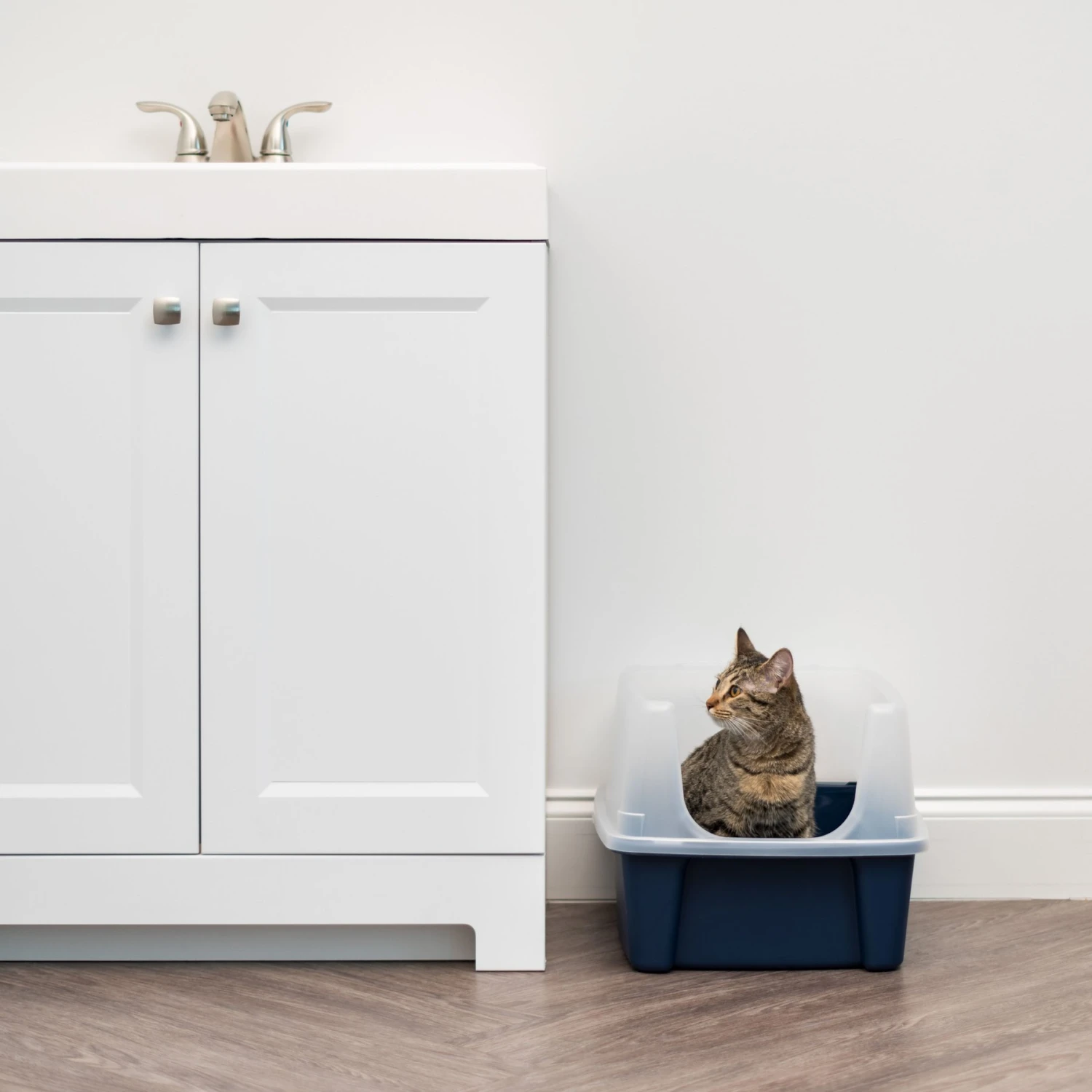 IRIS USA Open Top Litter Box With Scatter Shield - Image 3