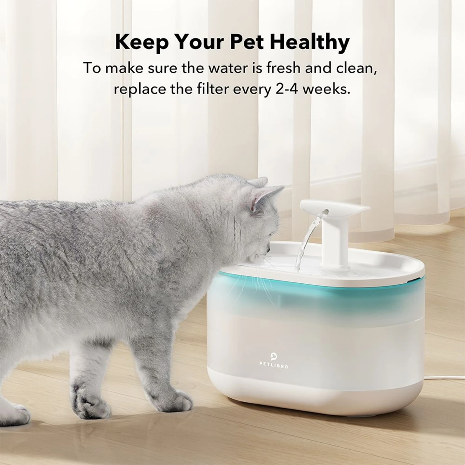 Petlibro PLWF002 Replacement Filters, 8 Count - Image 4