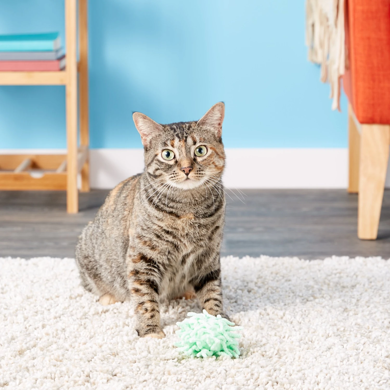 KONG Moppy Ball Cat Toy, Color Varies - Image 6