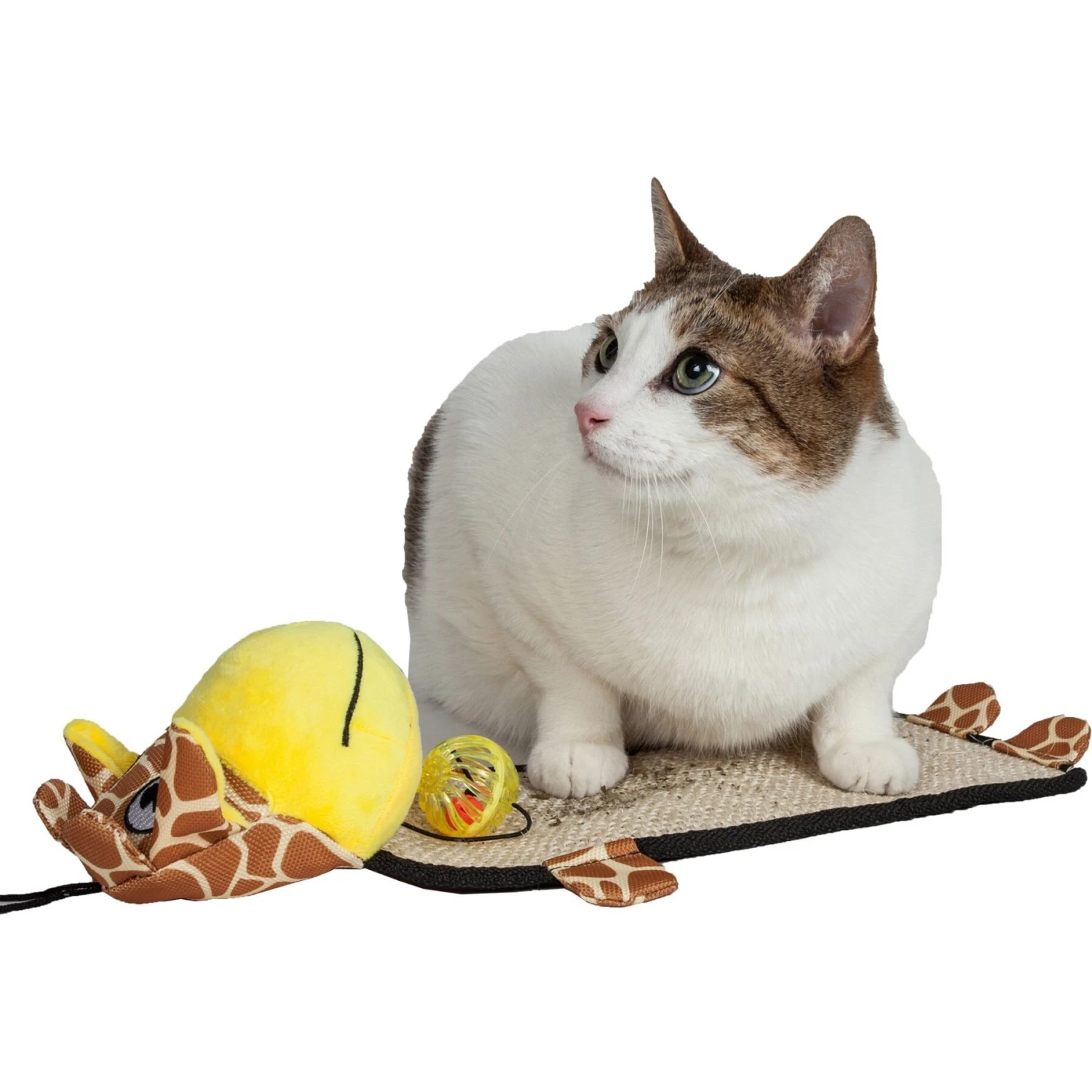 Pet Life Paw-Pleasant Eco-Natural Sisal & Jute Hanging Carpet Kitty Cat Scratcher & Toy - Image 3