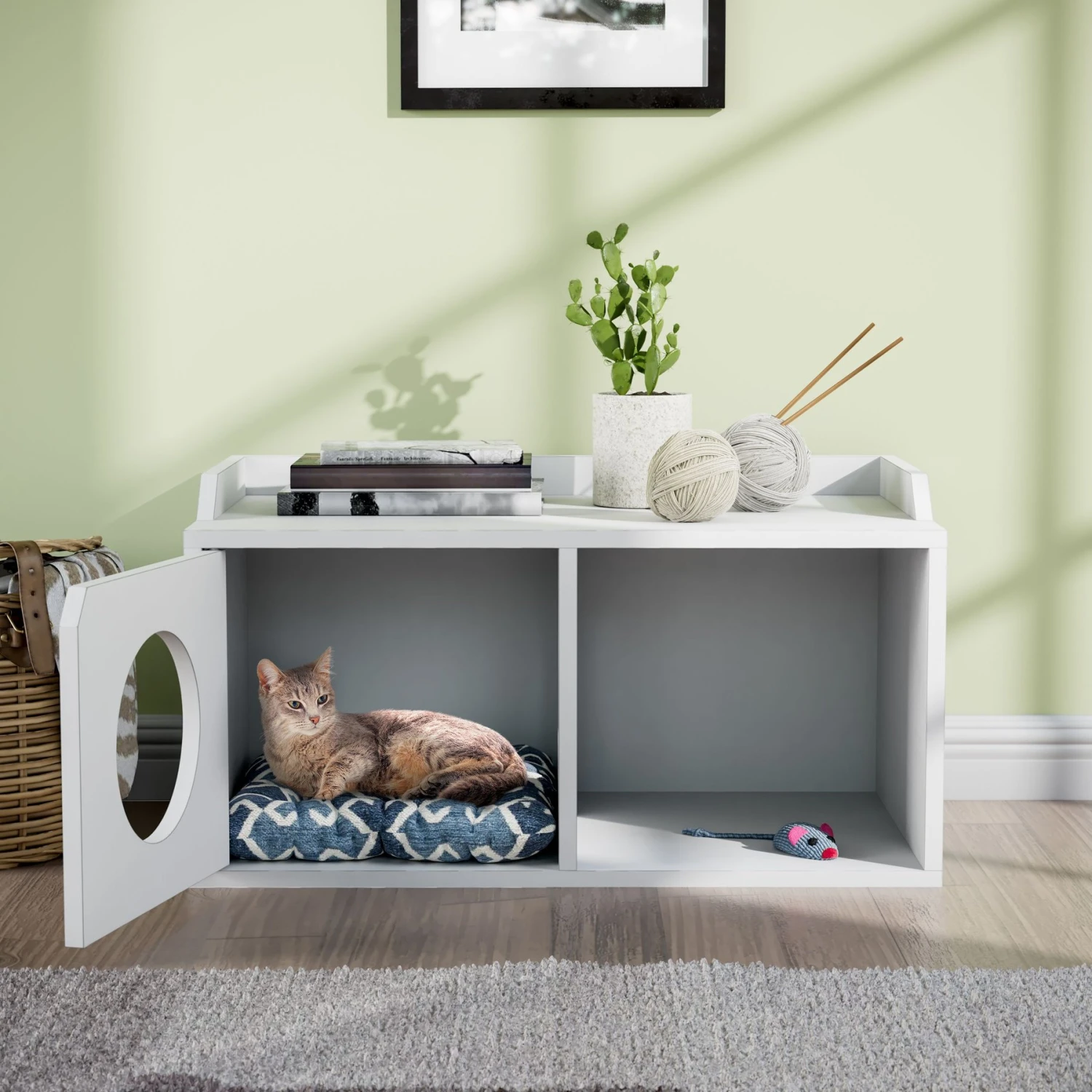 Way Basics Double Hole With 1 Door Cat House, Medium - Image 3