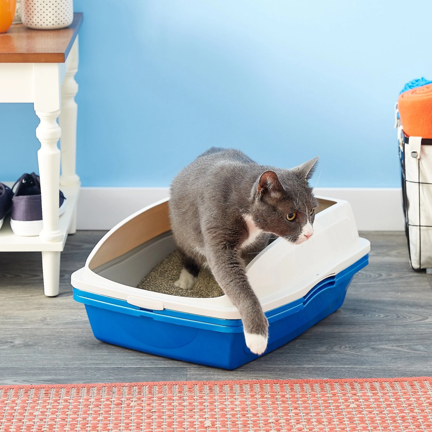 Van Ness Sifting Cat Litter Pan With Frame