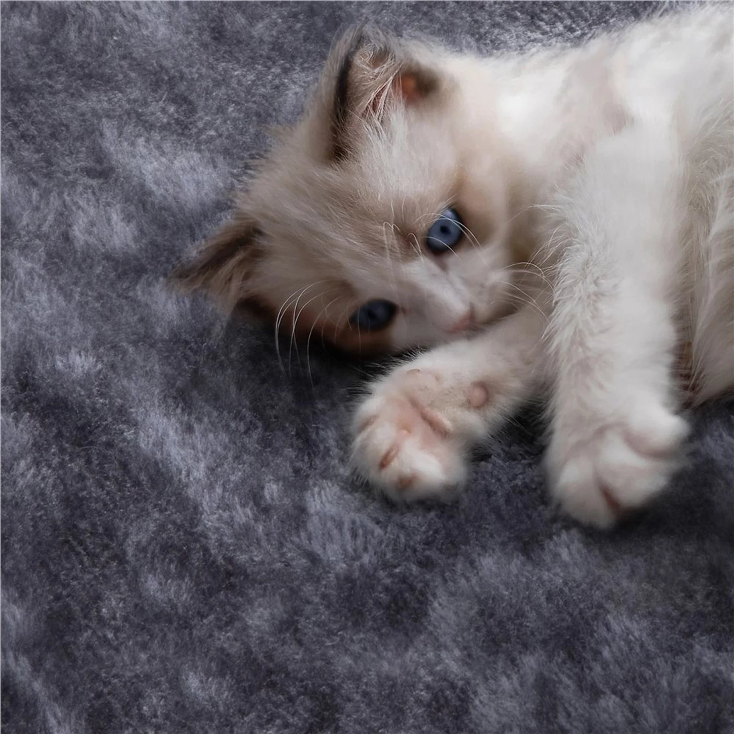 Yaheetech 3-Level Plush Cat Tree, Dark Gray, Medium - Image 4