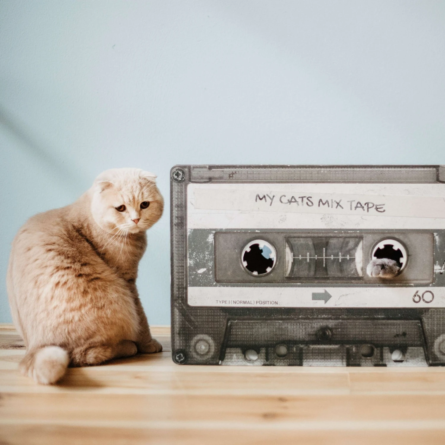 District 70 MIXTAPE Retro Cardboard Cat Scratcher, Large - Image 6