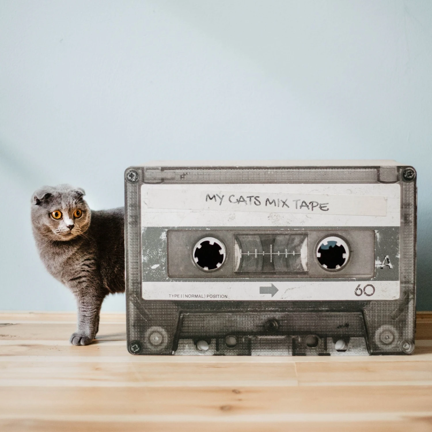 District 70 MIXTAPE Retro Cardboard Cat Scratcher, Large - Image 7