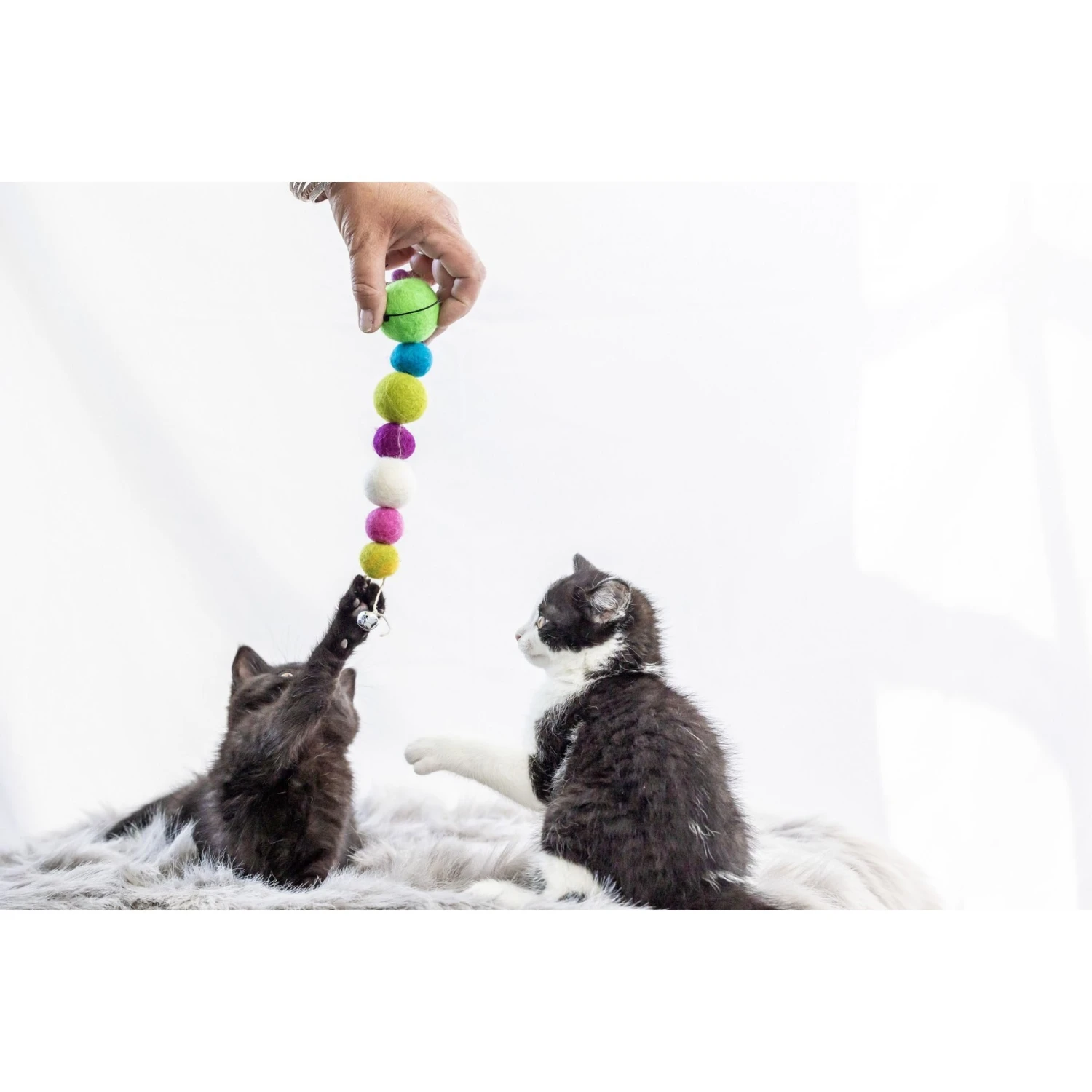 Honest Pet Products Eco Catty Pillar Cat Toy - Image 6