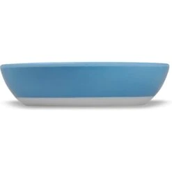 Van Ness Ecoware Non-Skid Cat Dish, Blue