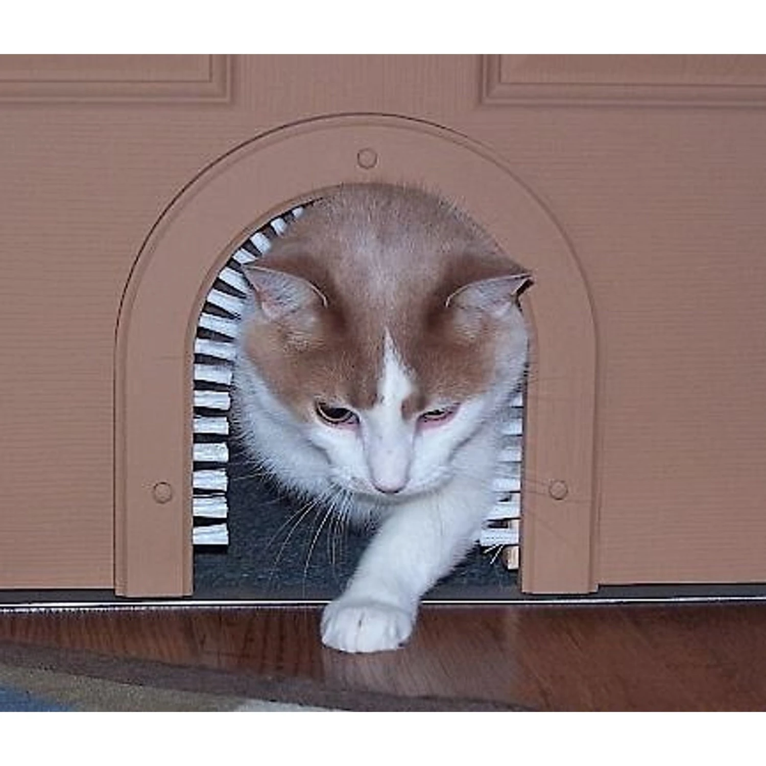 Cathole Cat Door With Brush - Image 3