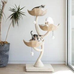 Mau Lifestyle Ivy 3, 53-in Modern Cat Tree, Natural