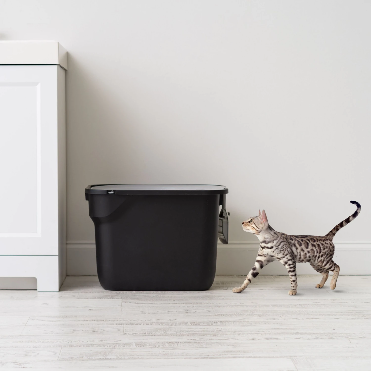 IRIS USA Square Top Entry Cat Litter Box With Scoop, Large - Image 3