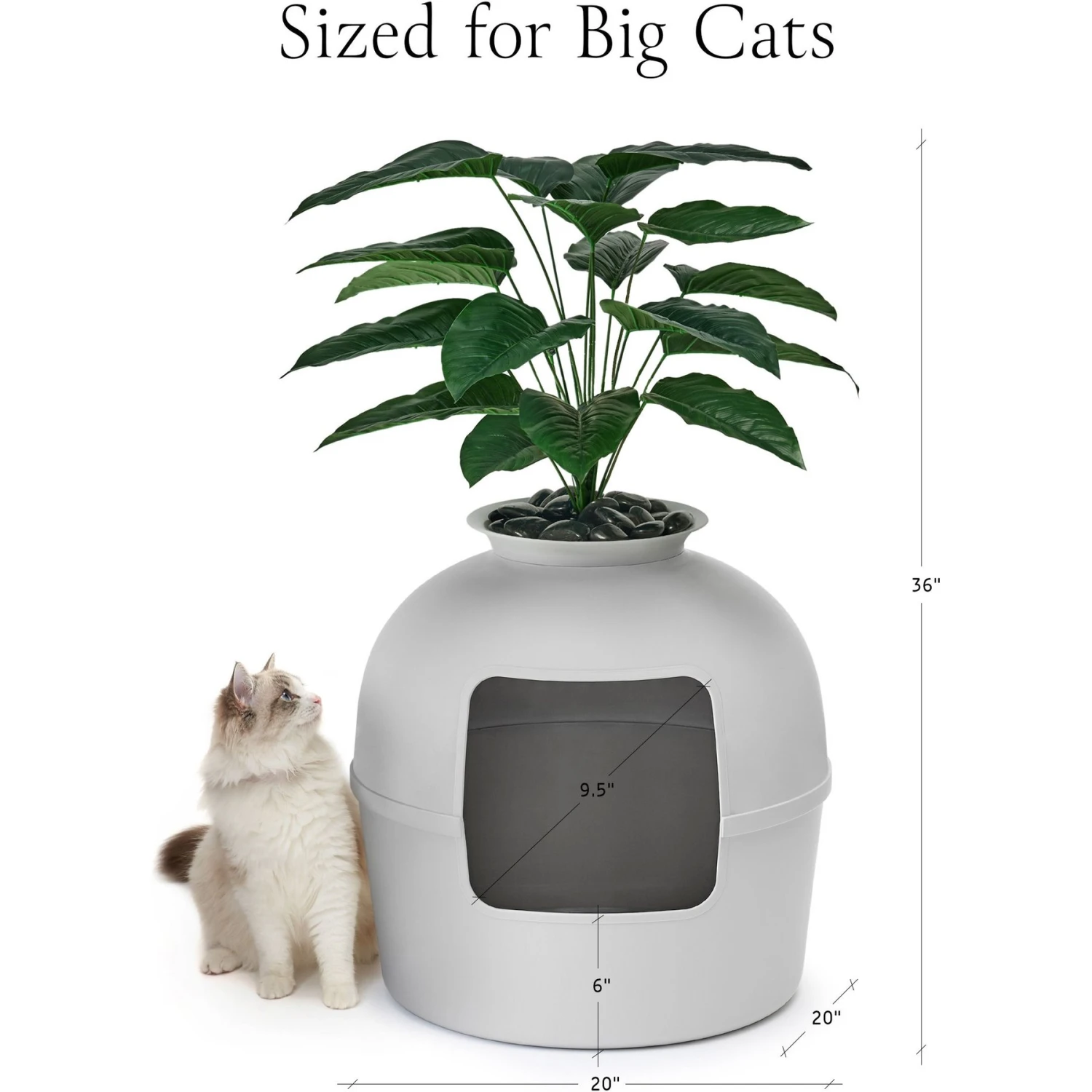 Bundle & Bliss Secret Litter Box Hidden Cat Litter Box Plant - Image 6