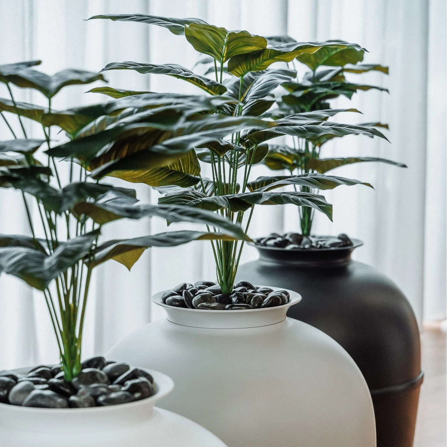 Bundle & Bliss Secret Litter Box Hidden Cat Litter Box Plant - Image 9