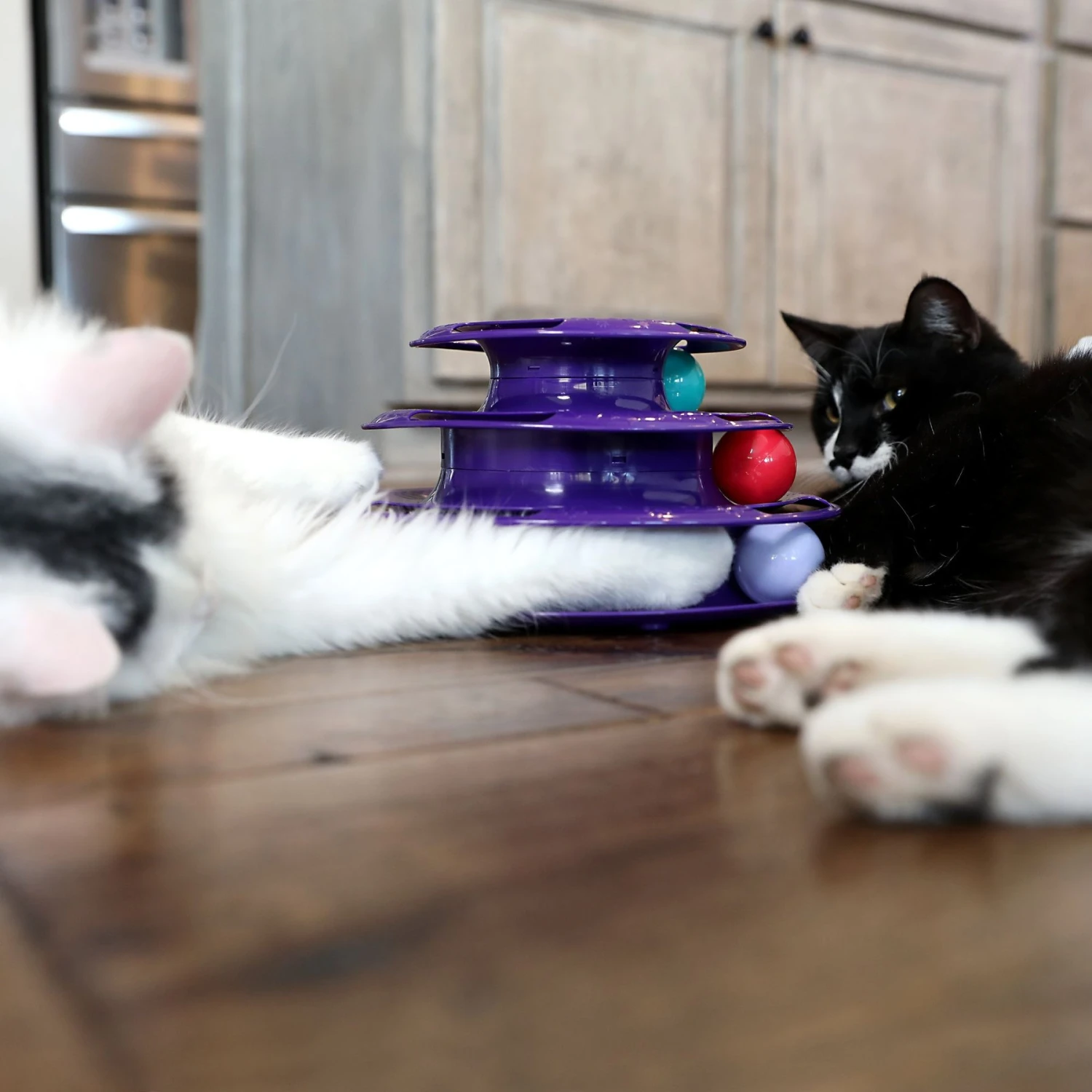 Quirky Kitty Three Layer Ball Track Cat Toy - Image 4