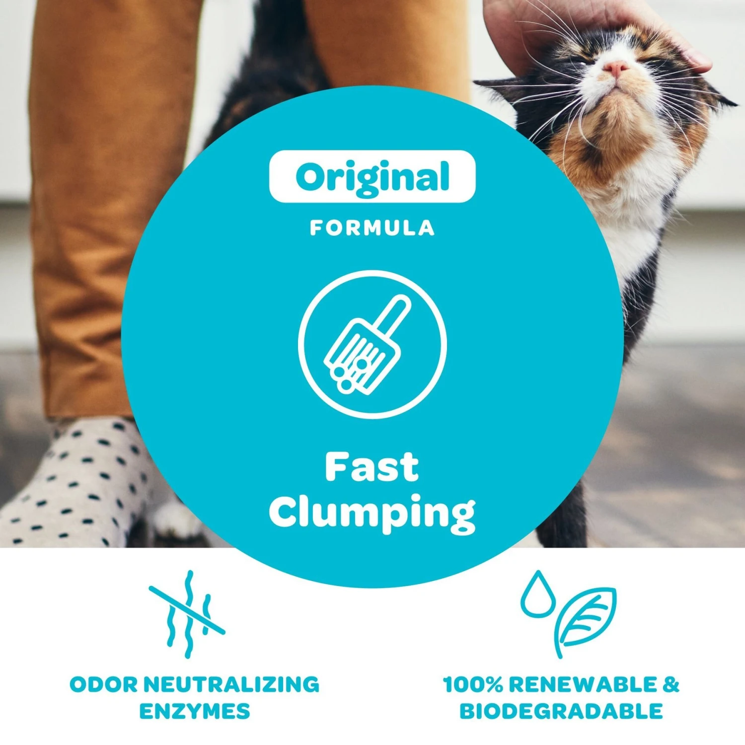 SWheat Scoop Fast-Clumping Unscented Natural Clumping Wheat Cat Litter - Image 6