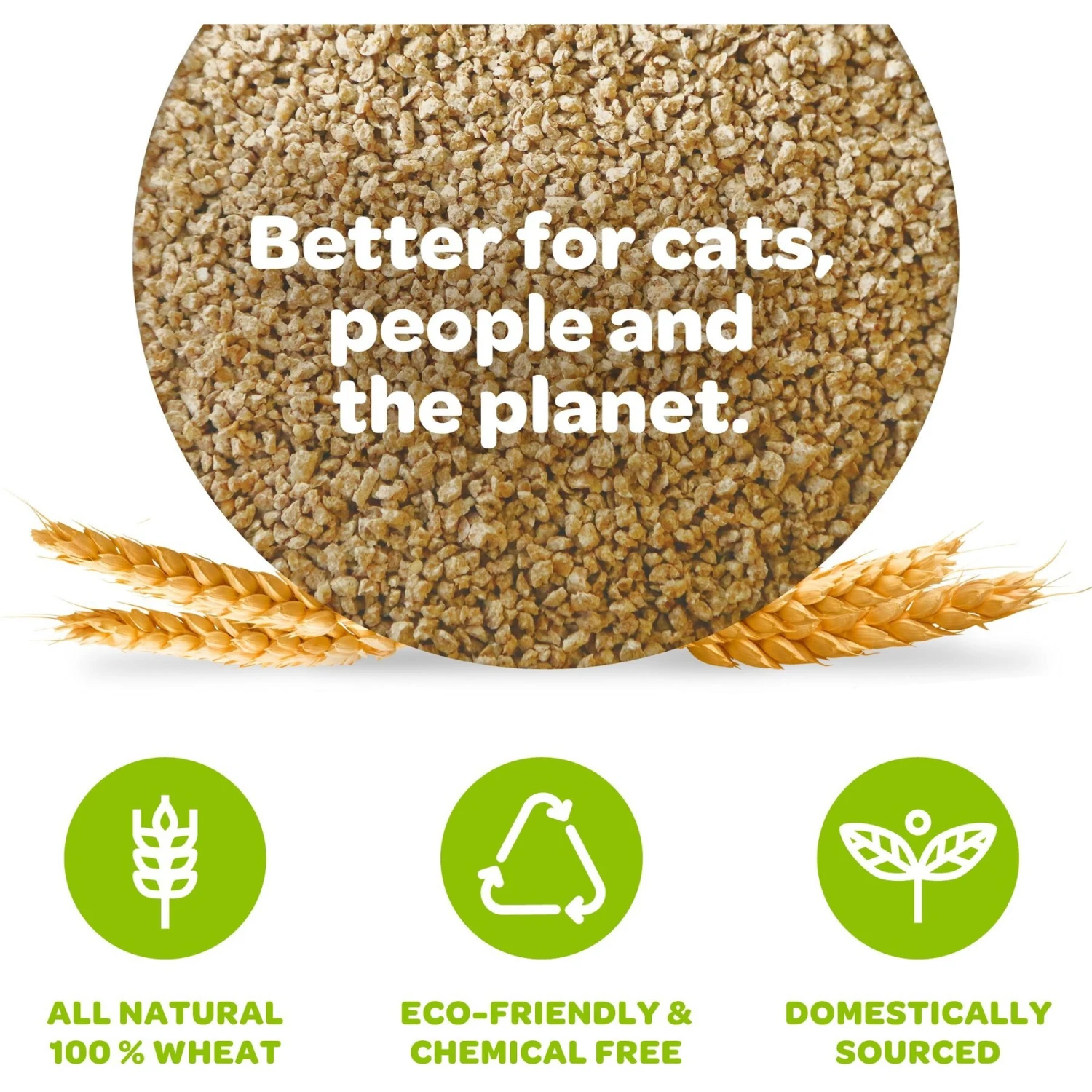 SWheat Scoop Multi-Cat Unscented Natural Clumping Wheat Cat Litter - Image 4